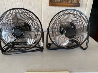 FAN