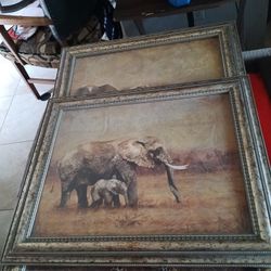For The Home