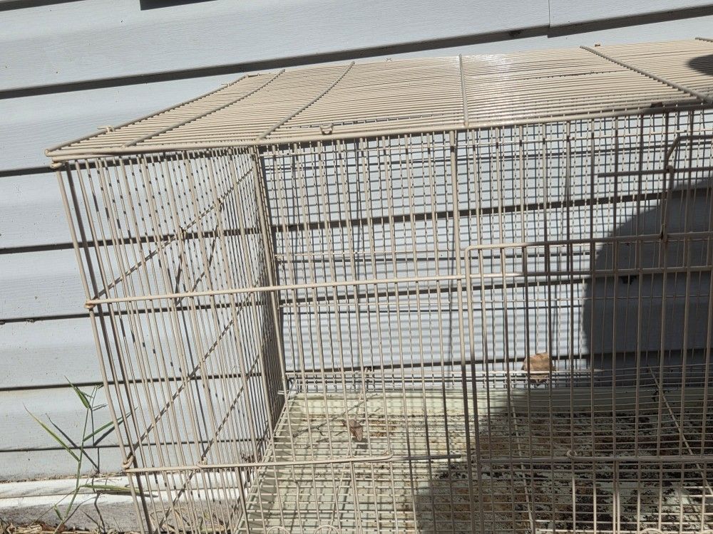 Bird Cage- Roughly 2X1X1½