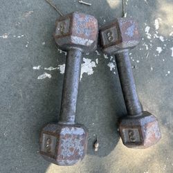 8 Lb Dumbbells 