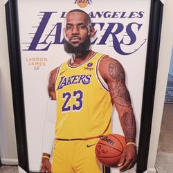 LEBRON PICTURE 31 BY 25 NEW