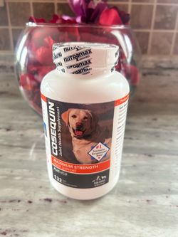 Cosequin Maximum Strength Joint Support Plus MSM for Dogs