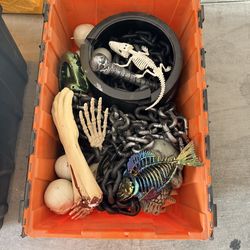 Halloween decorations