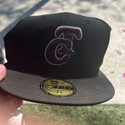 Minnesota Twins Hat