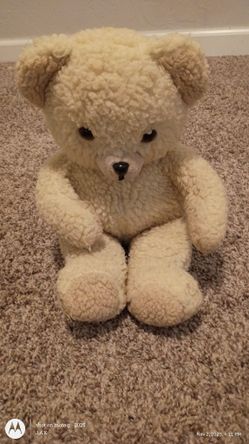 Vintage Snuggle Bear
