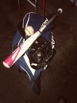 Bat ball glove and bag
