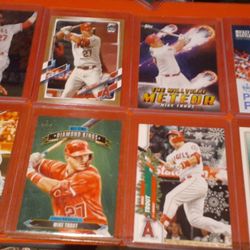 Trout, Jordan, Whatever You Need