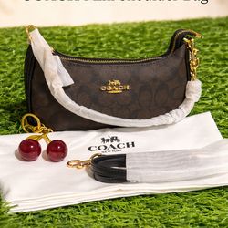 Coach Mini Shoulder Bag – Brown Signature Design