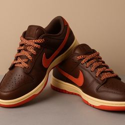 🏷️ Nike Dunk Low – Men’s Sneakers (Brand New, In Box)