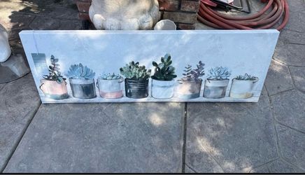 Succulent canvas