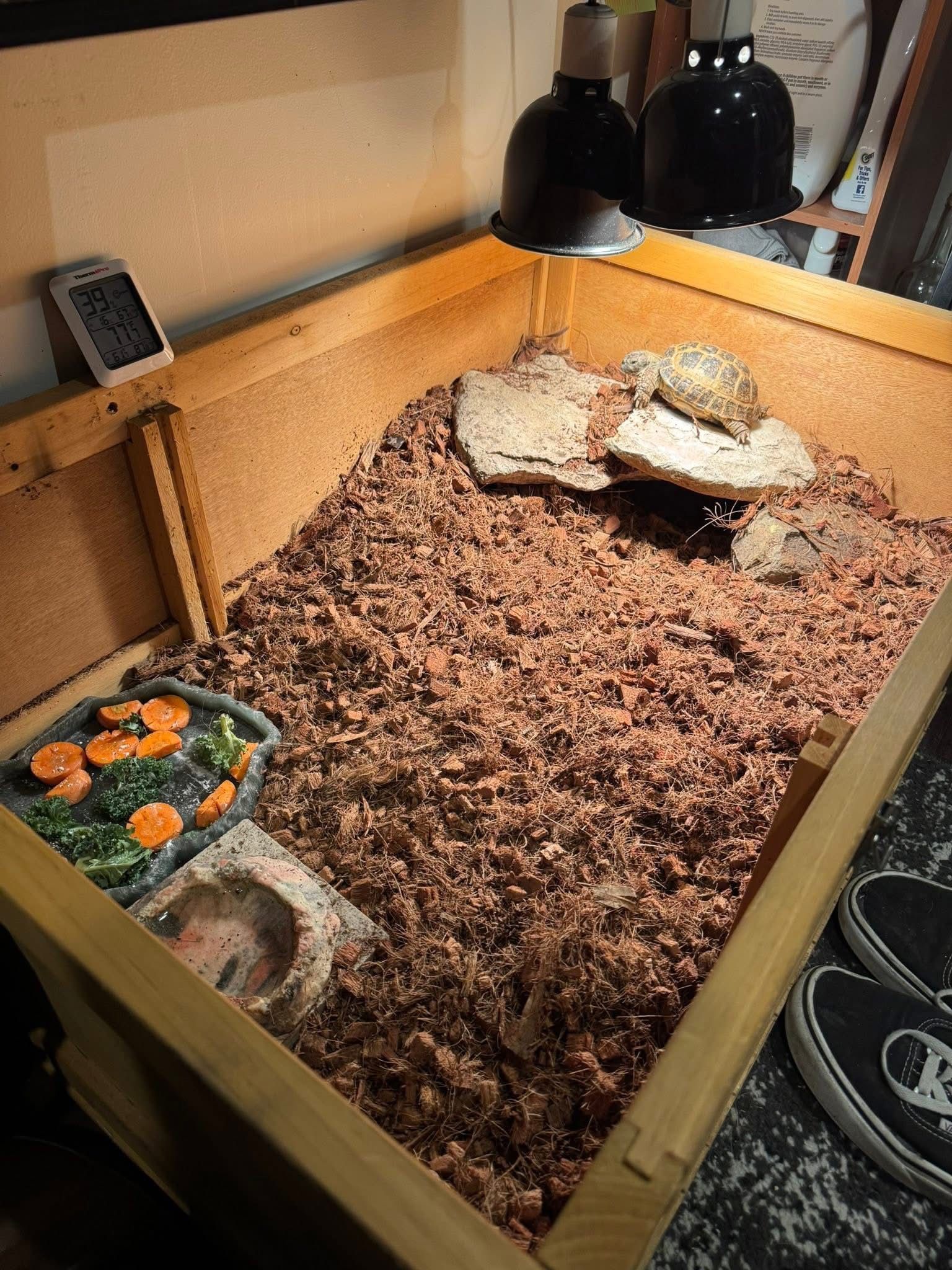 selling my tortoise enclosure