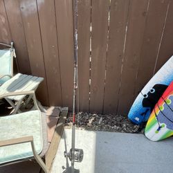 Daiwa Beef Stick Fishing Rod And Reel 