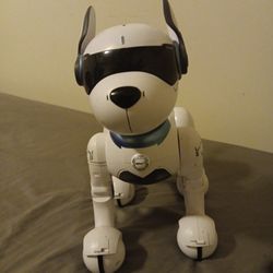 Smart Dog