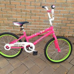 Girls 20 Inch Rally "Chase Your Dreams Bike ((( RUST FREE )))