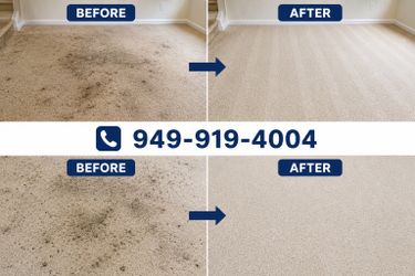 Carpet cleaner