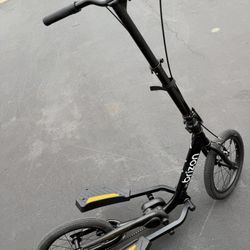 Step Wing Bicycle 