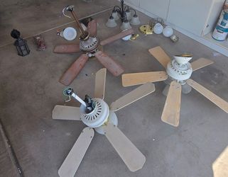 Lights and Fans