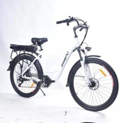 Electric Bicycle