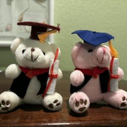 Graduation / Party Favors