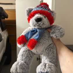 Stuffed Animal, Teddy Bear