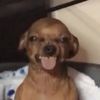 Sanchez 