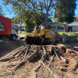 Stumps Grinding Stumps Grinder 