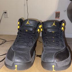 Jordan 12’s Taxi