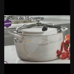 Vida Sana 15 Qt Princess House 