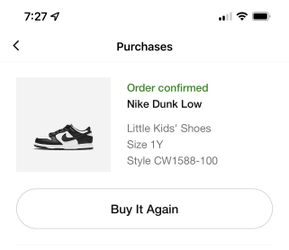 Nike Dunk Low Panda 1Y