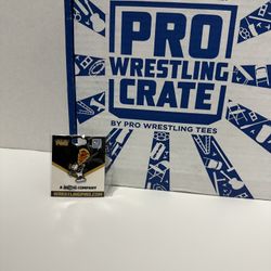 Pro Wrestling Crate Exclusive Collectible Pin