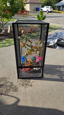 Large Screened reptile, bird enclosure