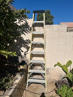 2 Extension Ladders & Stepladder