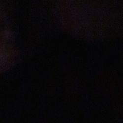 Any Plug Mobil W Tree 