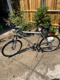 Specialized bike