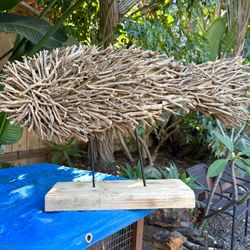 Fish Display Art! Natural wood! 