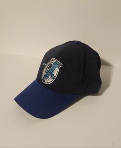 Ogden Raptors Hat Utah MILB OC Sports Baseball Cap OSFM Minor Blue/DarkBlue Used
