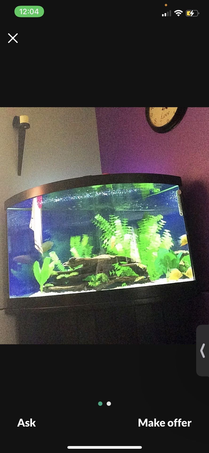 Fish Tank 