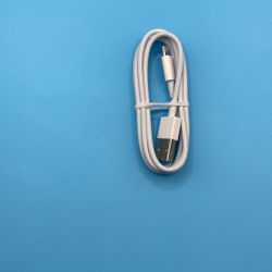 Apple iPhone charger 