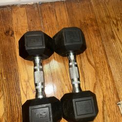 15 lb Rubber Dumbbells Pair – Home Gym Workout Weights
