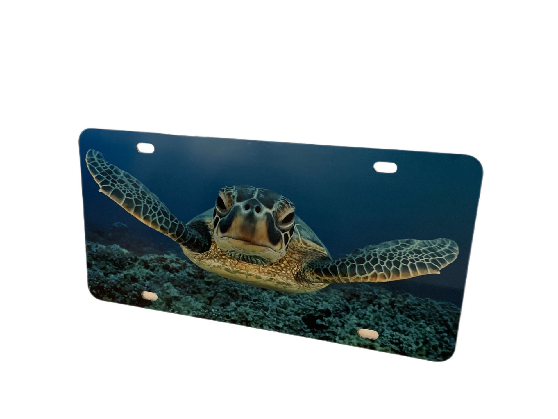 License Plate Turtle Sea Creature