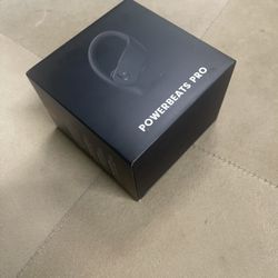 POWERBEATS PRO 