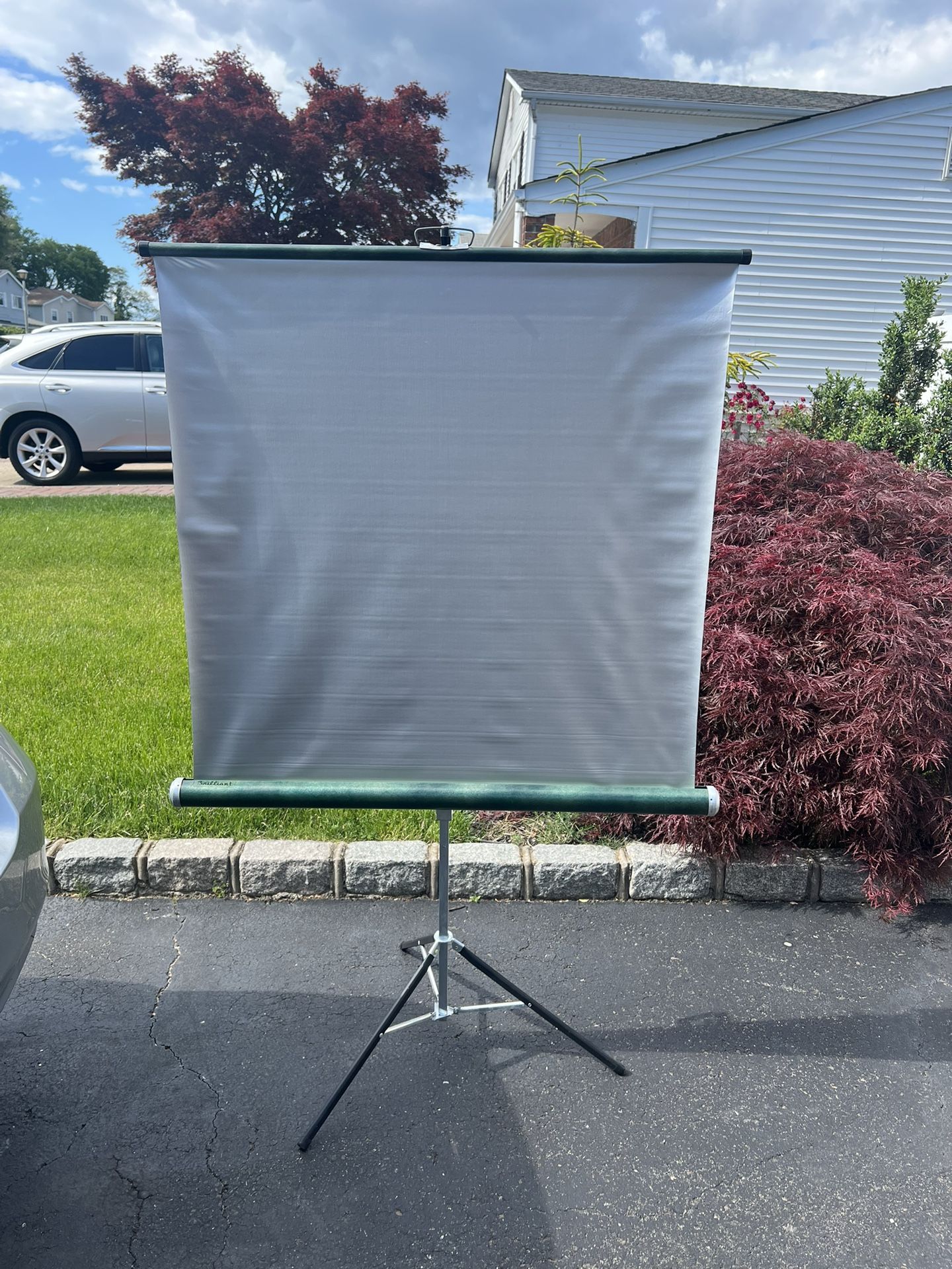 Projector Screen