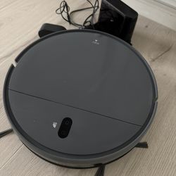 Robot vacuum cleaner with mopping function 