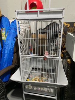 Large Bird cage $50