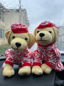 🐶 Raising Cane's 2020 Limited Edition Holiday Plush Duo! 🎄