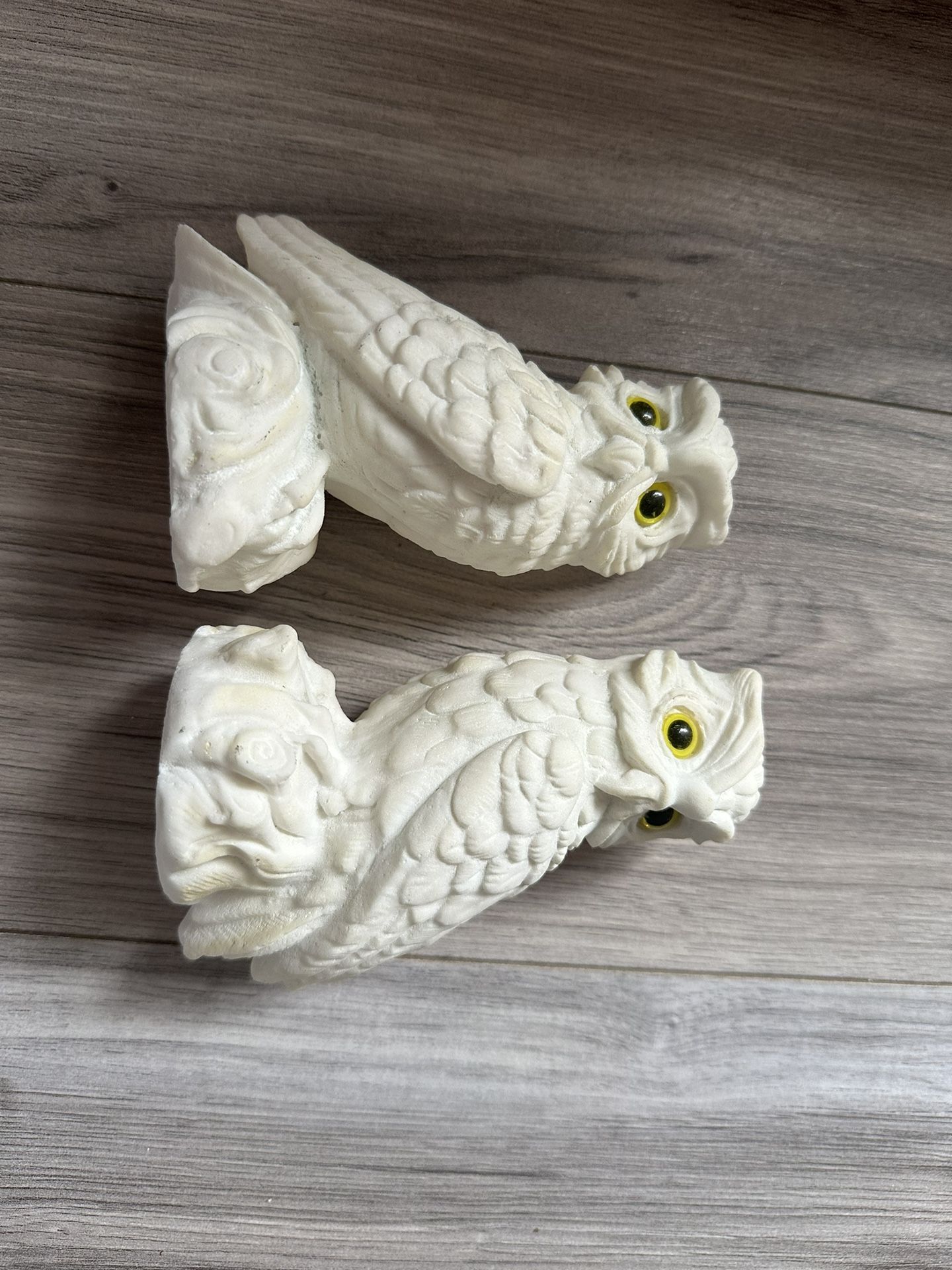 Owls