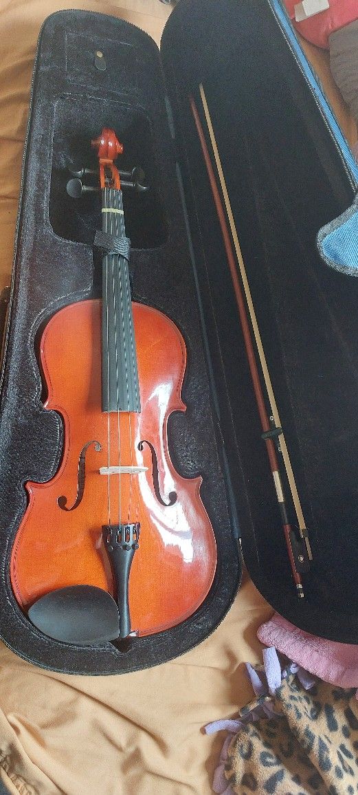 Viola