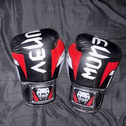 venum boxing gloves
