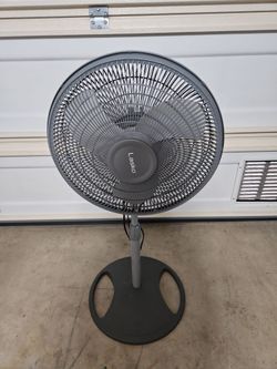 Fan
