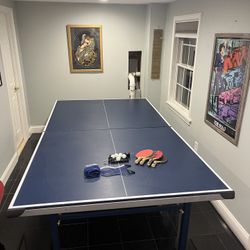 STIGA Ping Pong Table Tennis